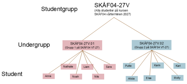 Medlemskapshierarki för studentgrupper